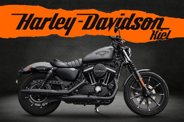 Harley-Davidson XL883N - Iron