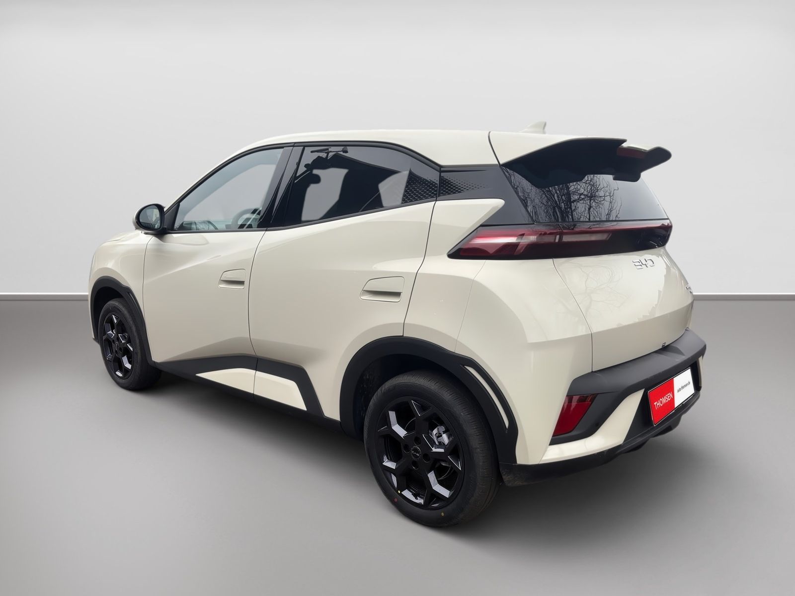 BYD DOLPHIN SURF