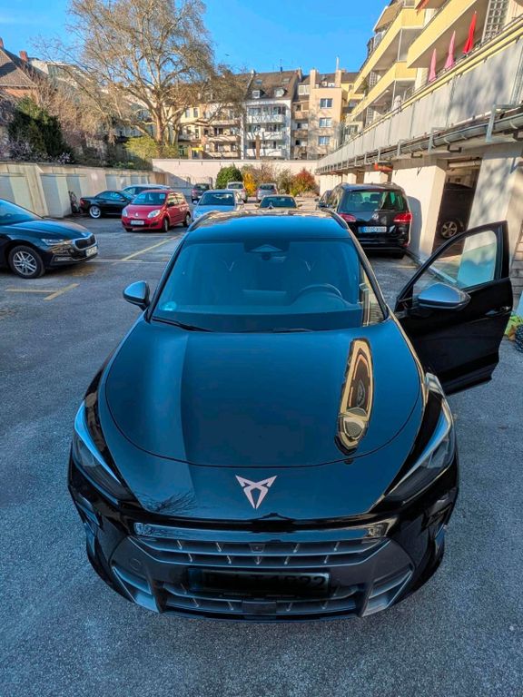 Image of Other Other