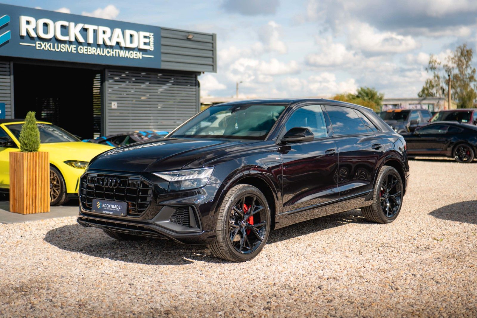 Fahrzeugabbildung Audi Q8 50 TDI quattro S-Line Black Design*ACC*22Zoll