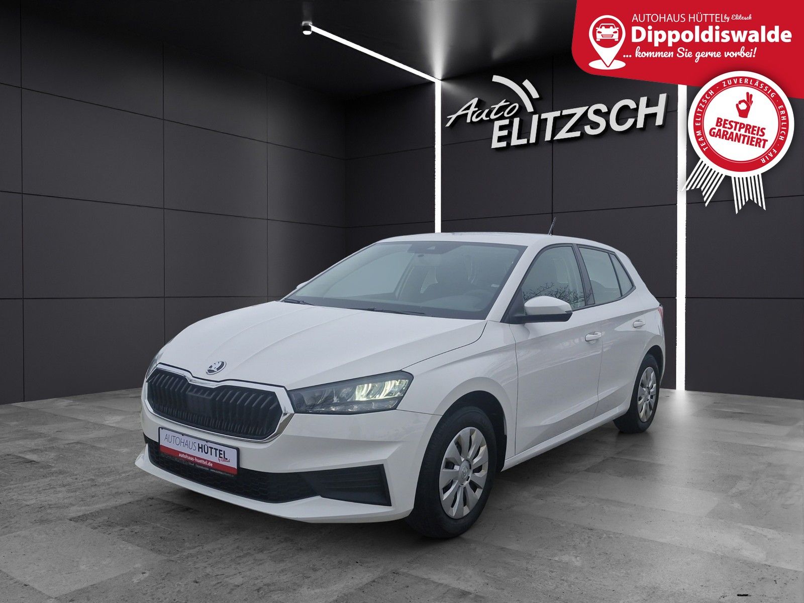 Fahrzeugabbildung SKODA Fabia Active 1.0 MPI DAB SH KLIMA