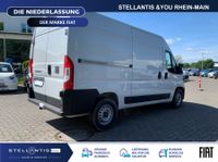 Fiat Ducato - Vorschau Bild 5