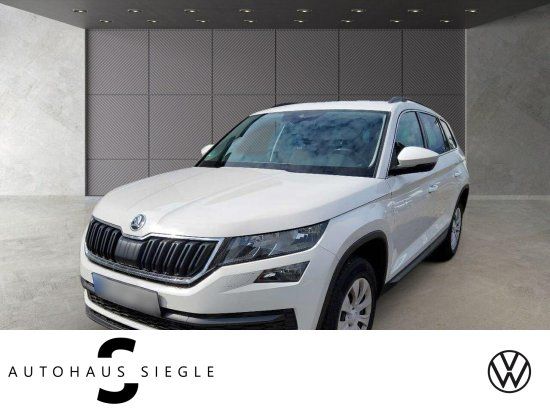 Skoda Kodiaq 2.0 TDI Ambition 4x4  DSG AHK Tempomat Na