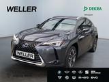 Lexus UX 250h Style Edition *Bi-LED*ACC*CAM*SHZ*CarPla