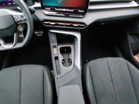Cupra Terramar - Vorschau Bild 15