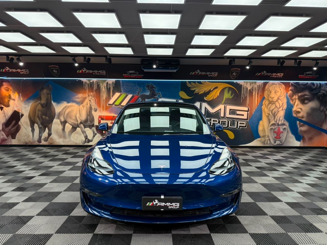 Tesla Model 3 Long Range Dual Motor AWD (369) imagem 2