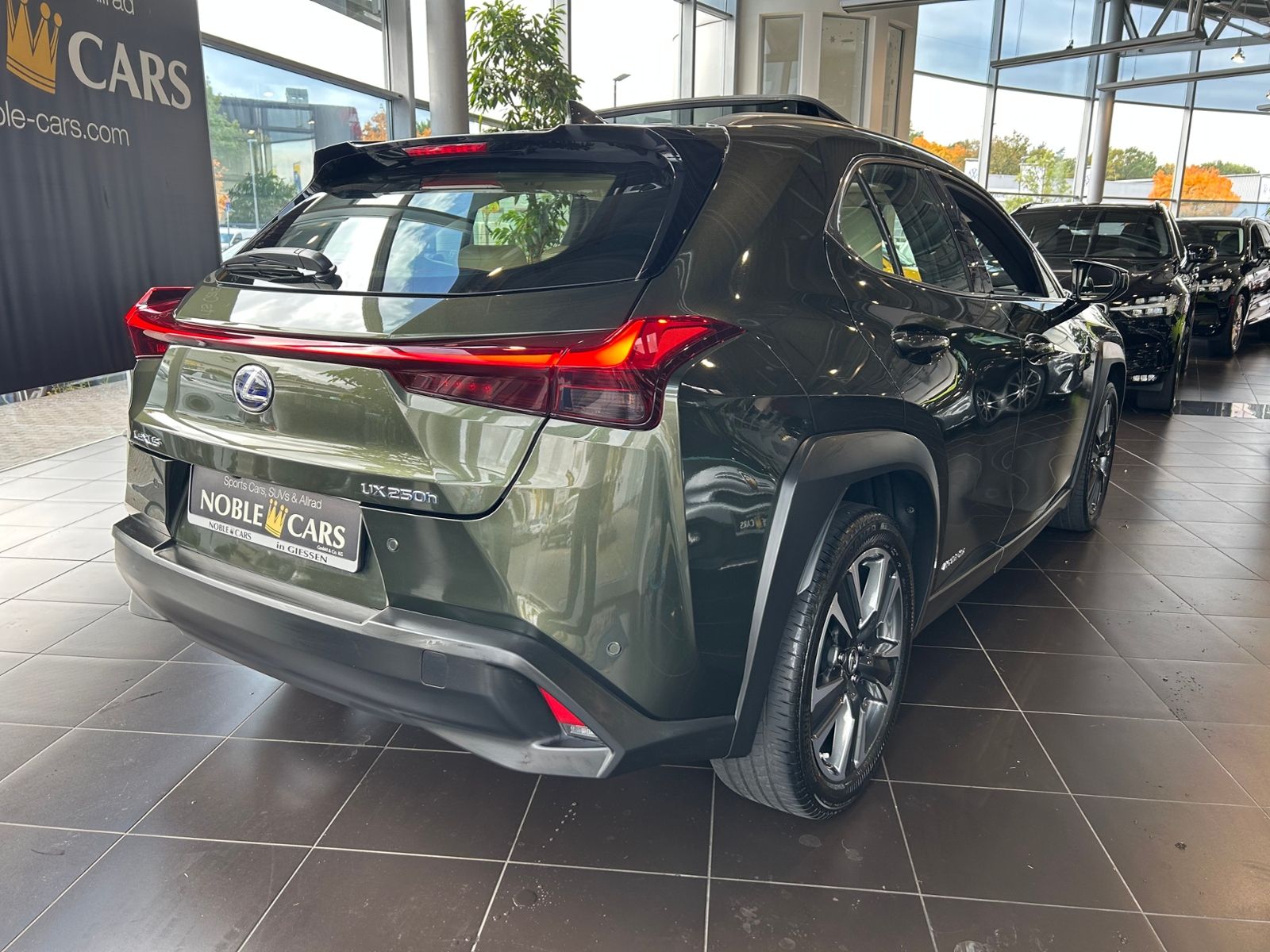 Fahrzeugabbildung Lexus UX 250 h Luxury PANO 360°