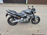 Honda CB900 Hornet SC48 1. Hand - HONDA HORNET 900