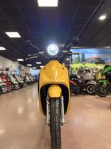 Govecs Flex 2.0 E-Roller 45 km/h B2C - ROLLER 45 KM H