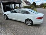 Jaguar XF 35t 340PS Prestige Automatik - Jaguar XF: Prestige