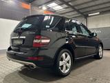 Mercedes-Benz ML 350 4 Matic Sport#Luft#Xenon#AHK#Alcantara#Am - gebrauchte Mercedes-Benz ML-Klasse aus dem Jahr 2008