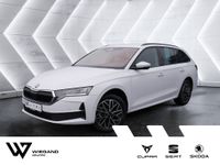 Skoda Octavia - Vorschau Bild 1