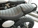 Triumph Scrambler 400X C, sofort verfügbar - TRIUMPH SCRAMBLER 400 X