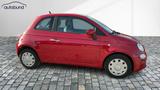 Fiat 500 1,0 MHEV Pop DAB Klima - Fiat 500 Pop mit Benzin-Antrieb