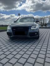 Audi SQ5 3.0 TDI competition tiptronic quattro - - Audi SQ5 mit Diesel-Antrieb: Grau, Geländewagen