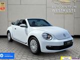 Volkswagen VW Beetle Cabrio 2.0 TDI Sitzheizung Navi PDC