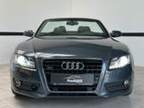 Audi A5 3.2 FSI S tronic quattro Cabriolet Navi*Xenon - Audi in Erfurt