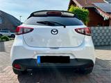 Mazda 2 SKYACTIV-G 90/TÜV NEU/Gepflegtes Fahrzeug - Mazda 2 Gebrauchtwagen