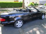 Mercedes-Benz CLK 200 Cabrio Vollleder 1. Hand 65t km ROSTFREI - gebrauchte Mercedes-Benz CLK 200 aus dem Jahr 1999