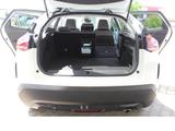 Citroën C4 Diesel Shine Automatik - Citroën C4 mit Diesel-Antrieb: Automatik