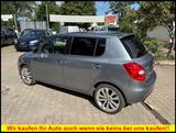 Skoda FABIA RS Sport 1.4 TSi / STANDHEIZUNG / SZHZg - Skoda Fabia: RS