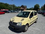 Fiat Panda 1.1 8V Active - Fiat Panda: Gelb
