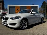 BMW 218i Cabrio *NAVI*SHZ*LEDER*PDC*ALPIN*GEPFLEGT* - BMW 2 Series: Cabrio