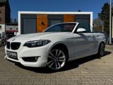 BMW 218i Cabrio *NAVI*SHZ*LEDER*PDC*ALPIN*GEPFLEGT* - BMW 218 mit Benzin-Antrieb