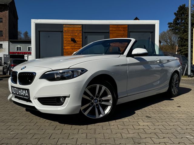 BMW 218i Cabrio *NAVI*SHZ*LEDER*PDC*ALPIN*GEPFLEGT*