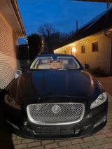 Jaguar XJ Premium Luxury 3.0 V6 Diesel S P... - gebrauchte Jaguar XJ aus dem Jahr 2012