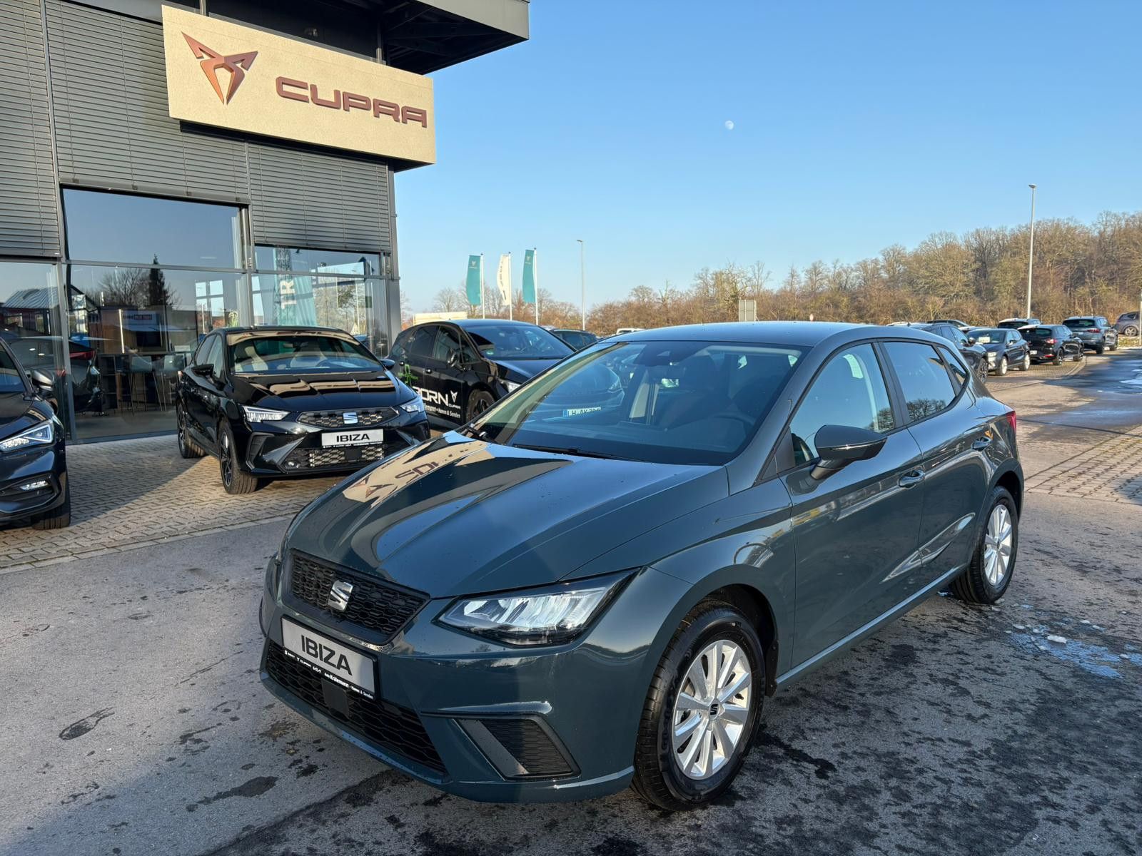 Seat Ibiza Road Edition 1,0 TSI DSG
