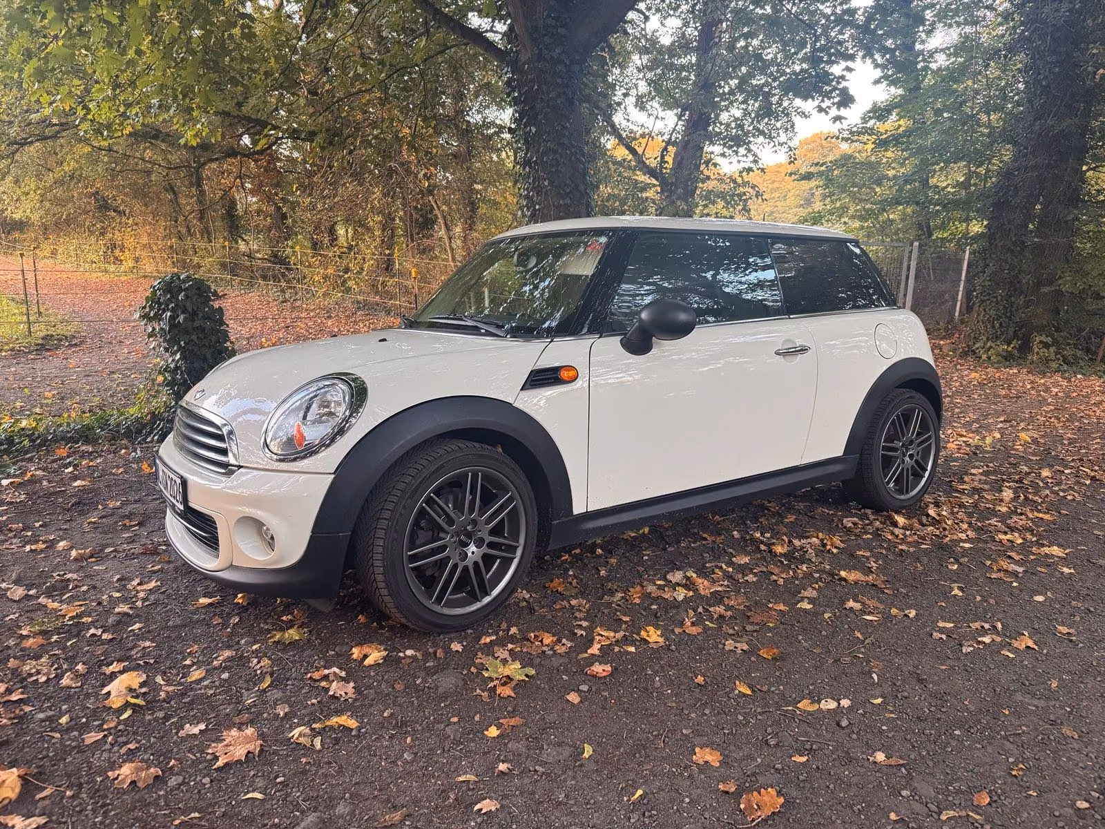 MINI ONE