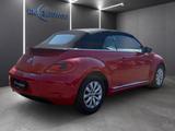 Volkswagen Beetle Cabrio 1.2 TSI Design El. Verdeck SHZ PDC - Volkswagen Beetle: Rot
