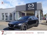 Mazda CX-30 Homura 140 Modell 2025|Alexa|LED - Mazda New cars: Modell