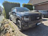 Ford F 150 5,0 V8 STX 4X4 CREWCAB 700km NEUWERTIG - Ford: Pickup, F1
