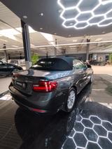 BMW 220i Cabrio Advantage - BMW 2er Reihe: Cabrio