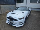 Ford Mustang 5.0 Ti-VCT V8 GT GT - Ford Mustang Gebrauchtwagen in Stuttgart