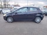 Fiat Punto Evo Active+TÜV/AU 02/2026 +KLIMA - Fiat Punto Evo: Active