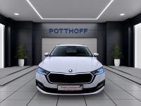 Skoda Octavia - Vorschau Bild 8