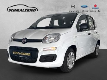 Bild Panda Fiat