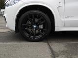 BMW X5 xDrive 40d M Sport Paket AHK ad. M FW SurView - BMW X5: Sport Paket