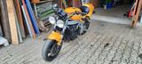 Triumph t595 Daytona Superbike-Umbau 955ccm 131PS 3Z - TRIUMPH DAYTONA T595