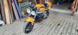 Triumph t595 Daytona Superbike-Umbau 955ccm 131PS 3Z - TRIUMPH T595 DAYTONA