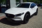 Mazda CX-30 2.5 140PS Homura Voll-LED Navi Kamera elek - Mazda Neuwagen