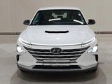 Hyundai Nexo Wasserstoff Hydrogen Virtual   1.Hand - mit Wasserstoff-Antrieb: Pickup