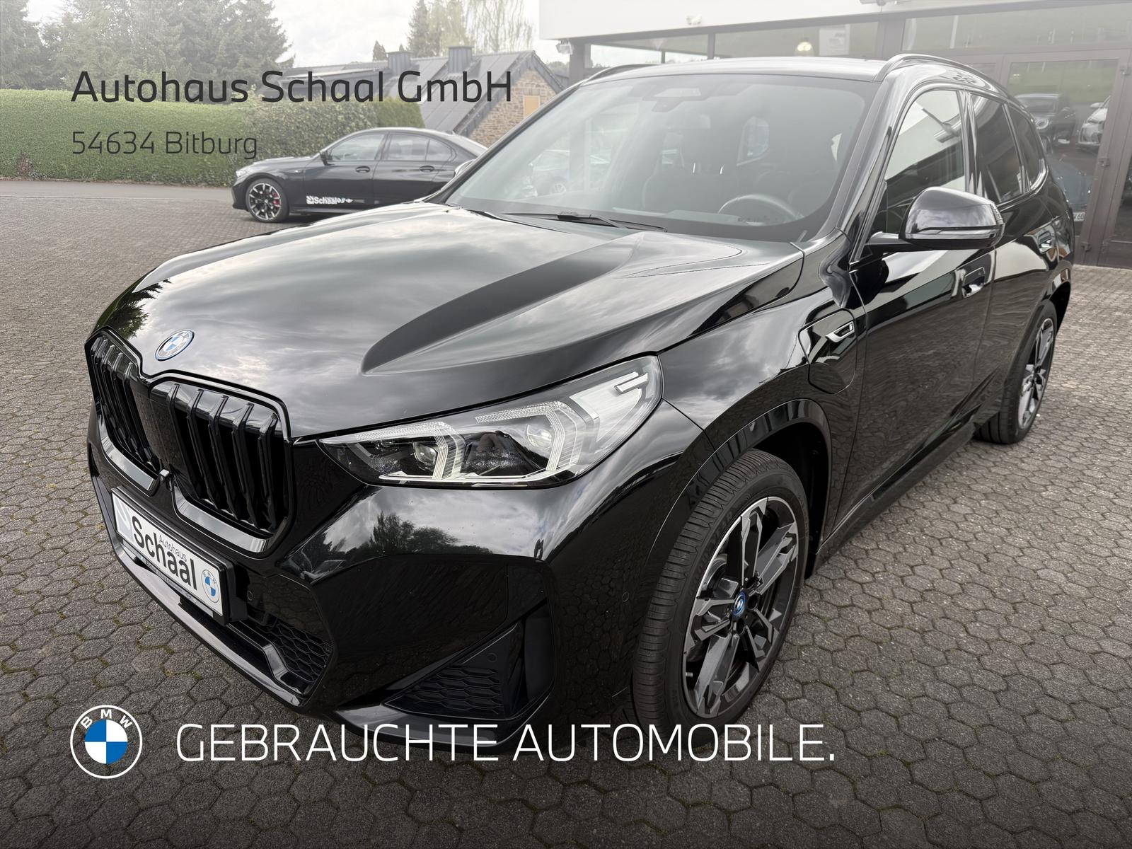 BMW X1 xDrive30e M Sportpaket LCProf. DAProf. PA+ HU
