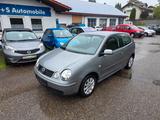 Volkswagen Polo IV Cricket - Volkswagen Polo aus 2004