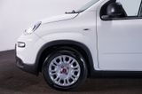 Fiat Panda 1.0 MY24 GSE Hybrid*Klima*4-Sitzer* - Fiat Panda: Sitzer