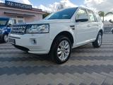 Land Rover Freelander 2.2 TD4 S.W. HSE Luxury - Land Rover Freelander Kombi Gebrauchtwagen