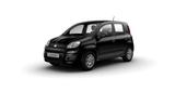 Fiat Panda Pandina  ICON Benzin      NP: 18.990€ - Fiat Panda Neuwagen mit Benzin-Antrieb